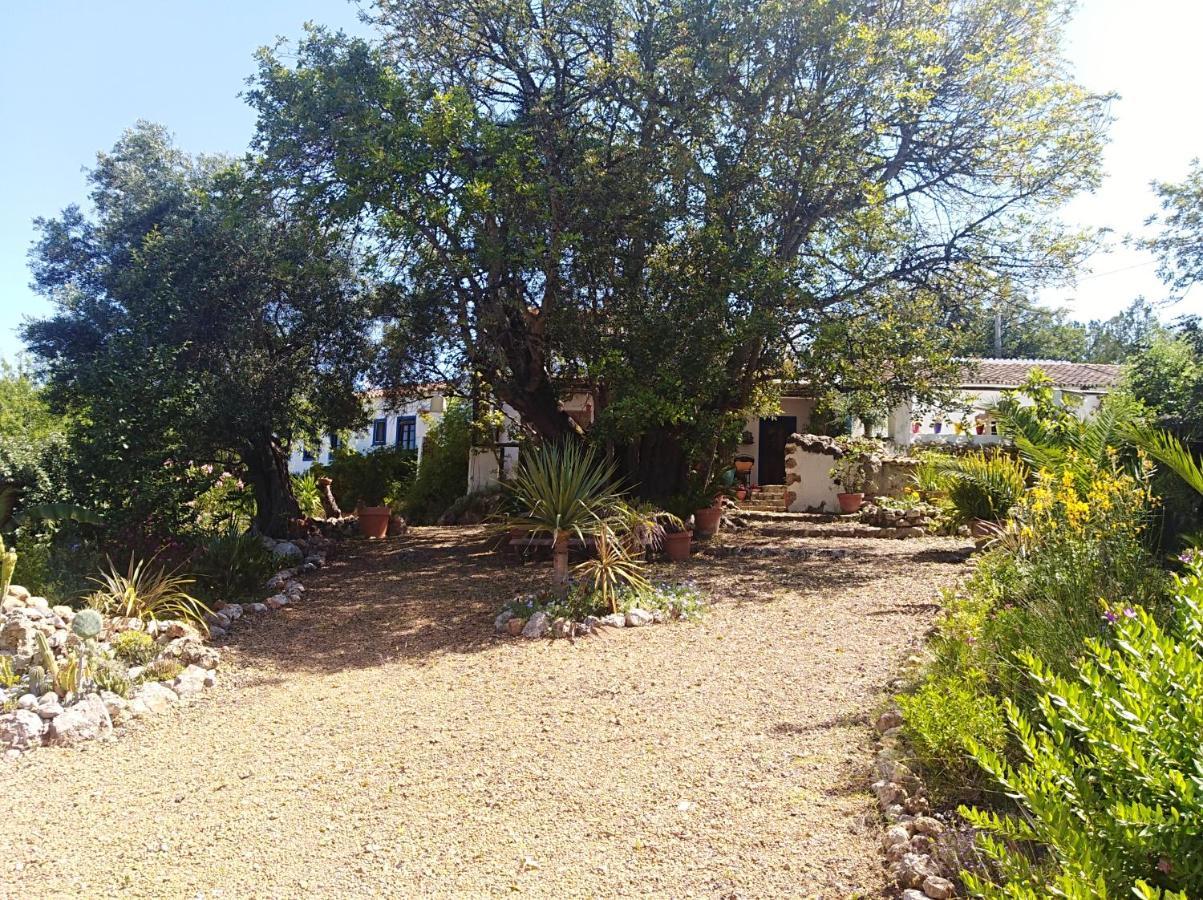 Quinta Dos Valados Bed & Breakfast Querenca Exterior photo